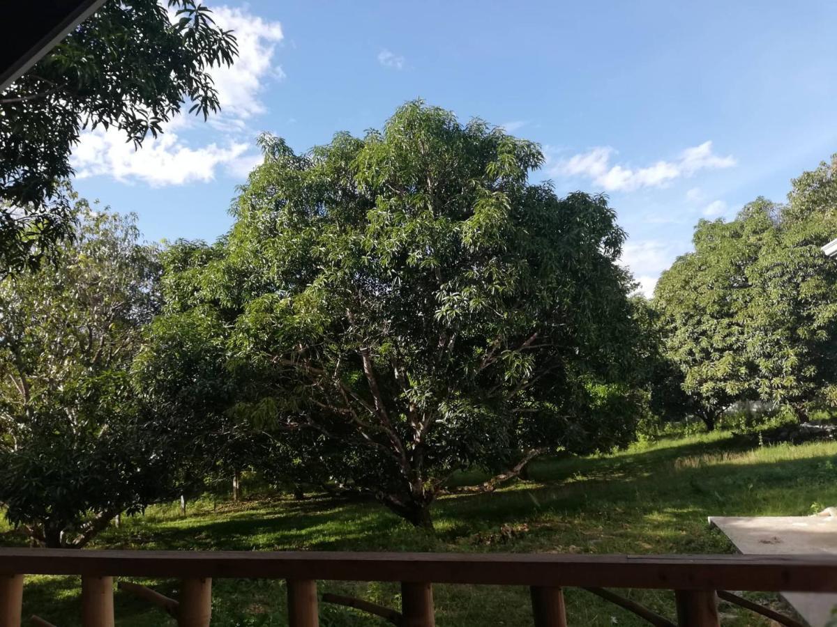 Balai Mariacaria Pension House Guindulman エクステリア 写真