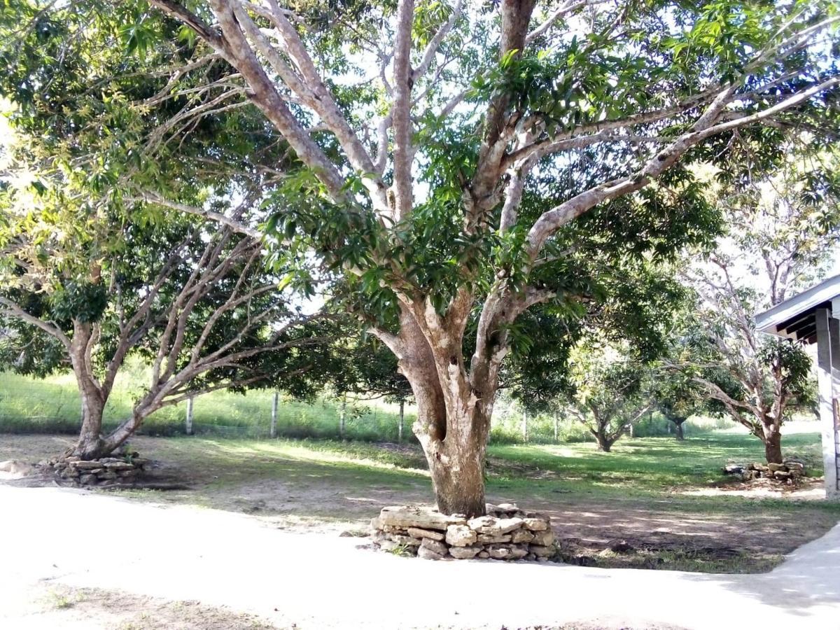 Balai Mariacaria Pension House Guindulman エクステリア 写真