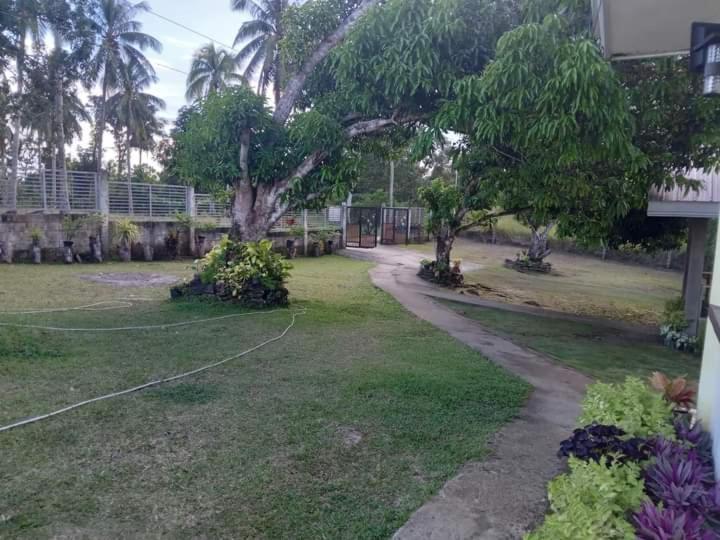 Balai Mariacaria Pension House Guindulman エクステリア 写真