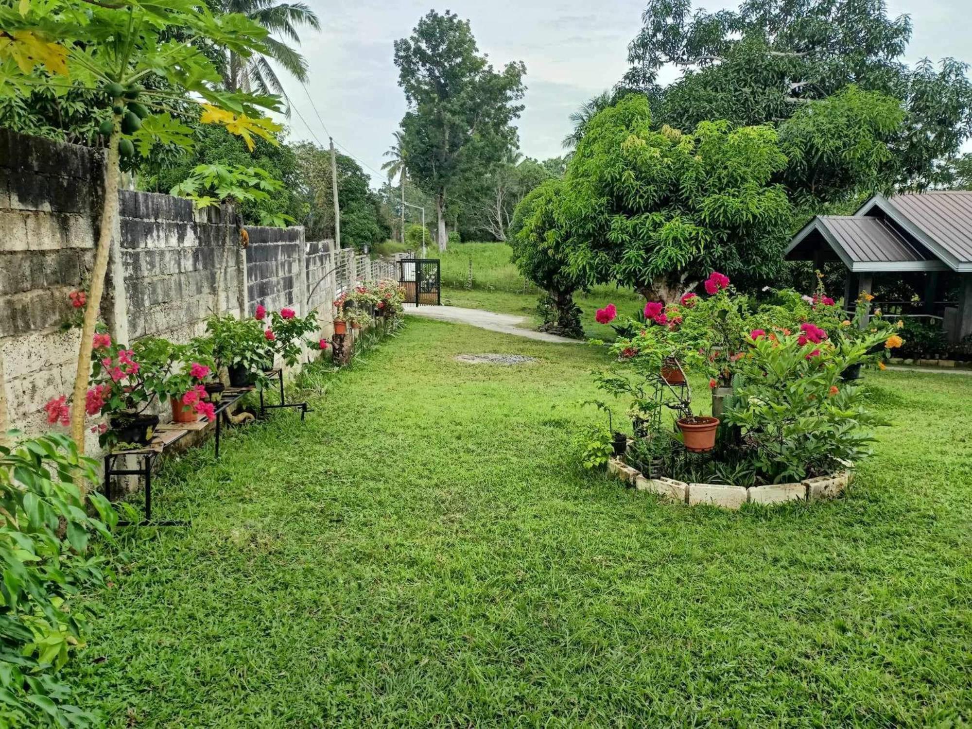 Balai Mariacaria Pension House Guindulman エクステリア 写真