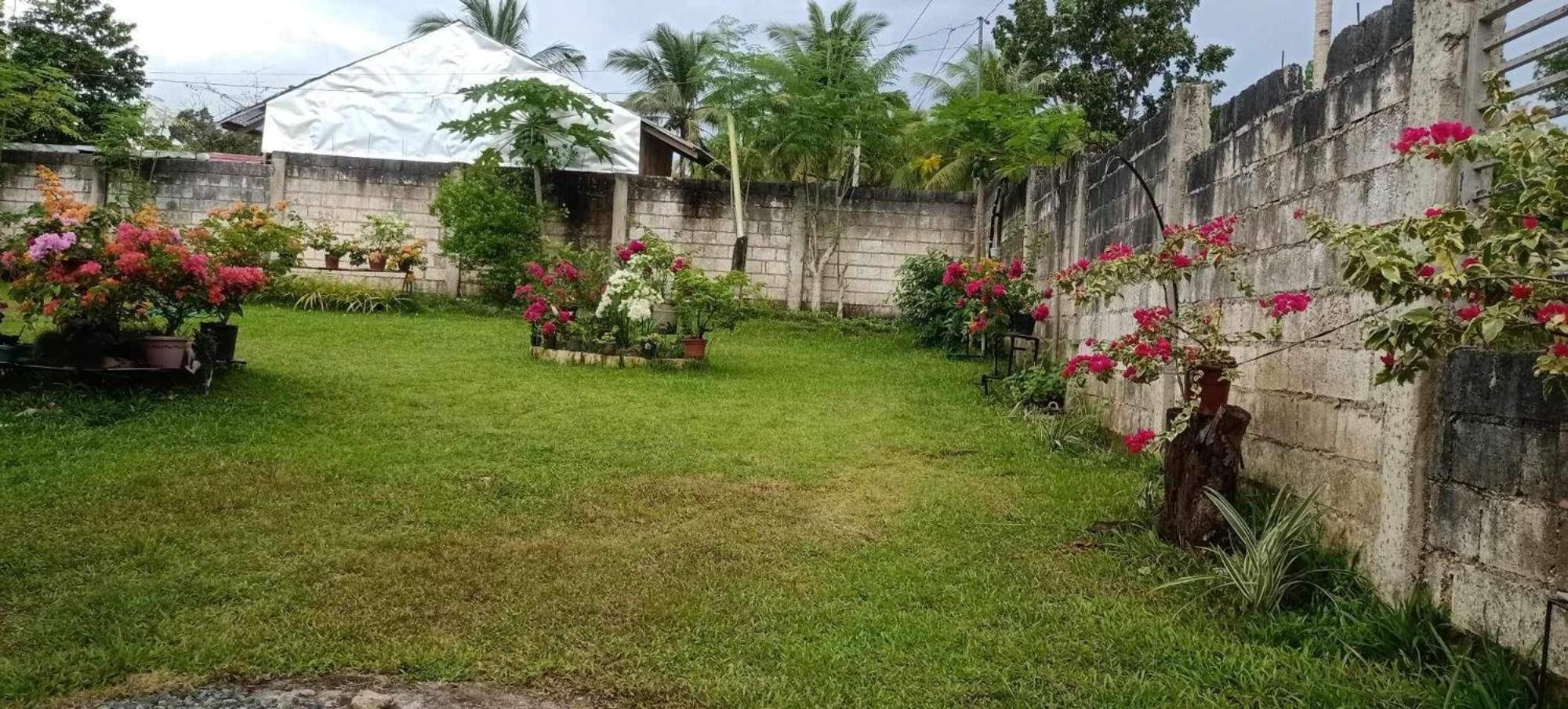 Balai Mariacaria Pension House Guindulman エクステリア 写真
